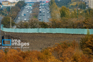 Autumn beauties in Iran’s Tabriz