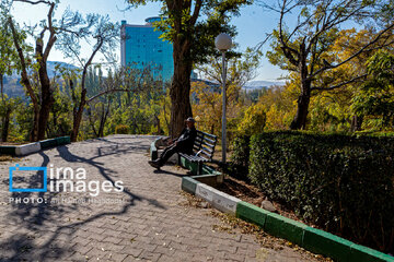 Autumn beauties in Iran’s Tabriz