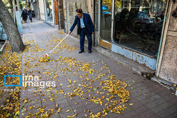 Autumn beauties in Iran’s Tabriz