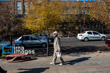 Autumn beauties in Iran’s Tabriz