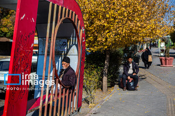 Autumn beauties in Iran’s Tabriz