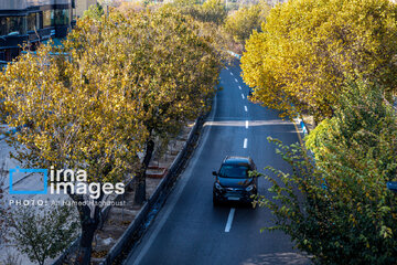 Autumn beauties in Iran’s Tabriz