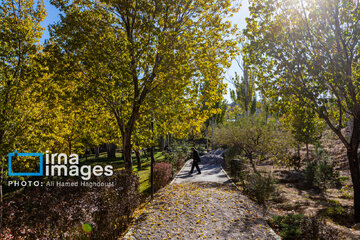 Autumn beauties in Iran’s Tabriz