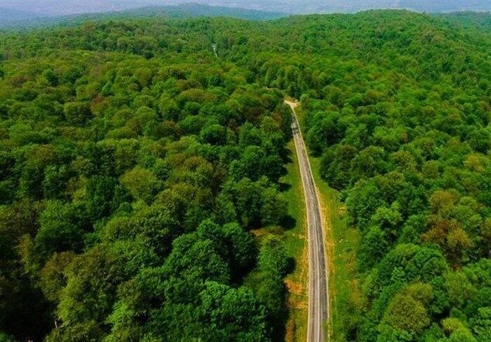 هرآنچه باید از انسداد مجدد راههای فرعی منتهی به جنگل ایزدشهر بدانید