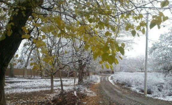 سرمای شدید در راه همدان/دما به هفت درجه زیر صفر می‌رسد