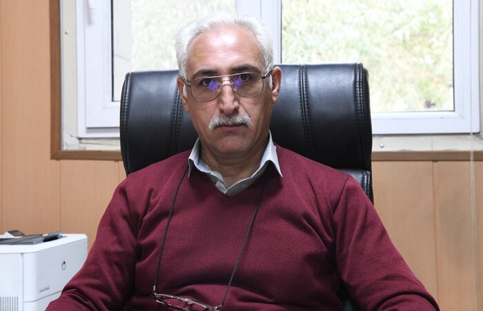 میزان تولید بذر جو اصلاح شده در کشور افزایش یافت