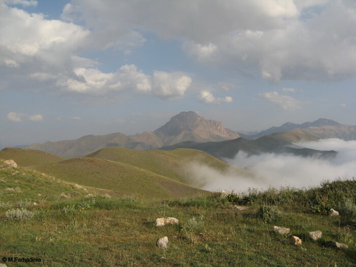 سرشماری پاییزه حیات‌وحش در استان تهران آغاز شد