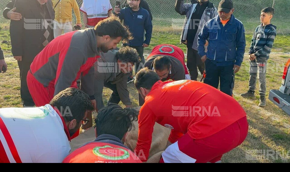 جنازه کوهنورد اردبیلی با بالگرد تحویل خانواده‌اش شد