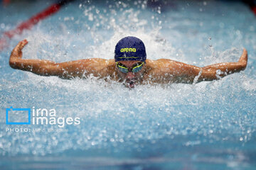 SC swimming competitions in northeast Iran