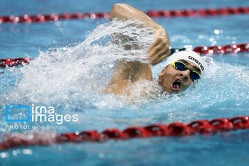 SC swimming competitions in northeast Iran