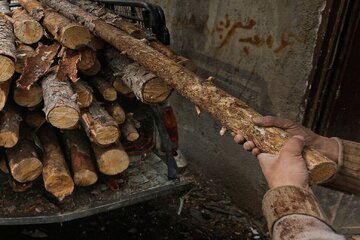 ۶ تن چوب بلوط قاچاق در اصفهان کشف شد