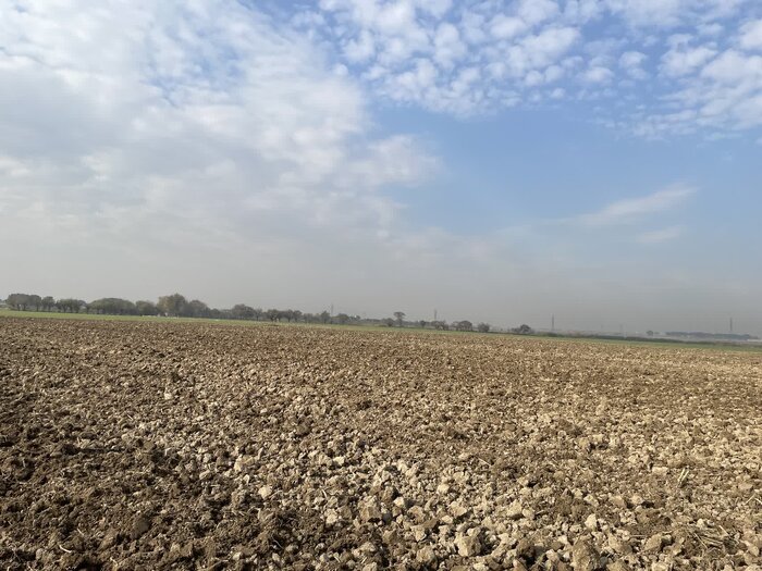 هشتمین کاروان ترویج بهرهوری ویژه الگوی کشت ملی در ایستگاه اسلامشهر