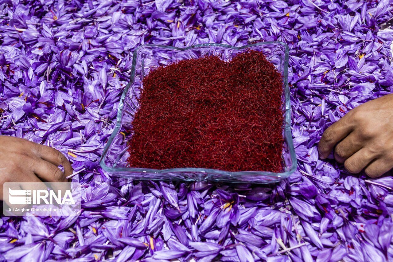 رفع تعهدات ارزی؛ راهکار جلوگیری از قاچاق زعفران رفع تعهدات ارزی؛ راهکار جلوگیری از قاچاق زعفران