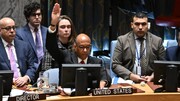 US lost credibility by vetoing Gaza ceasefire resolution: Russia