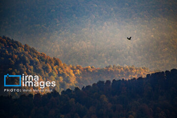 Stunning autumnal beauty of Mazandaran