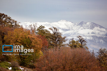 Stunning autumnal beauty of Mazandaran