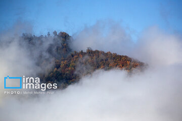 Stunning autumnal beauty of Mazandaran