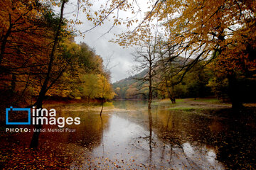 Stunning autumnal beauty of Mazandaran