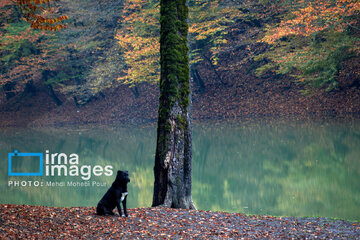 Stunning autumnal beauty of Mazandaran