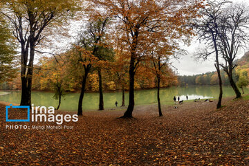 Stunning autumnal beauty of Mazandaran