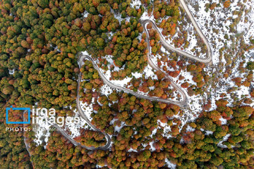 Stunning autumnal beauty of Mazandaran