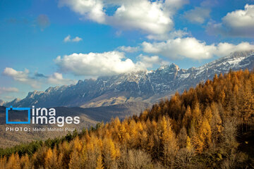 Stunning autumnal beauty of Mazandaran