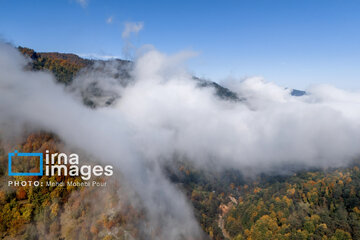 Stunning autumnal beauty of Mazandaran