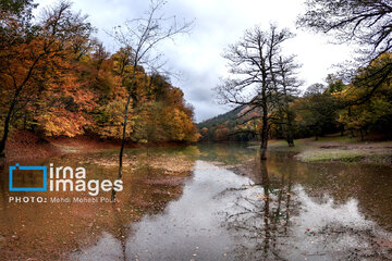 Stunning autumnal beauty of Mazandaran