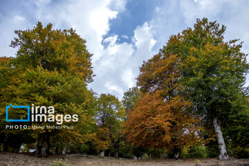 Stunning autumnal beauty of Mazandaran