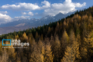 Stunning autumnal beauty of Mazandaran