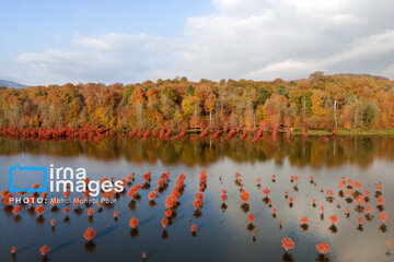 Stunning autumnal beauty of Mazandaran