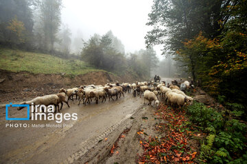 Stunning autumnal beauty of Mazandaran