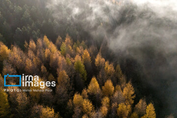 Stunning autumnal beauty of Mazandaran