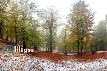 Stunning autumnal beauty of Mazandaran