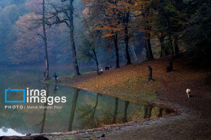 Otoño de los mil colores de Mazandaran