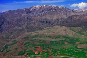 مدیرکل محیط زیست همدان: پیگیر ارتقای منطقه شکار ممنوع گرین به حفاظت شده هستیم