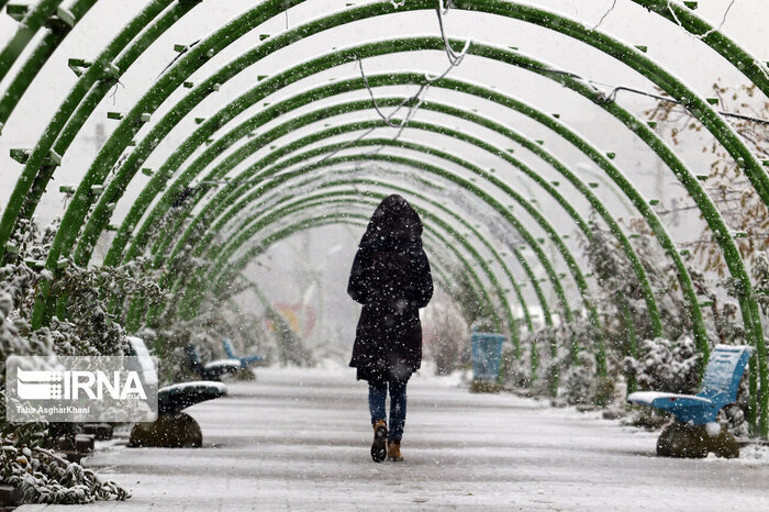 مازندران یخ میزند