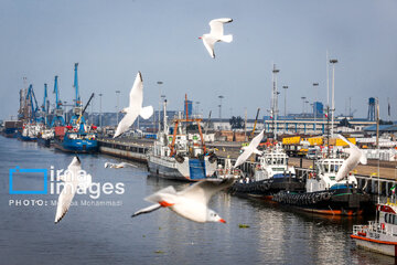 Caspian, Anzali Port Complexes