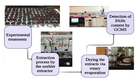 پاکسازی خاکهای آلوده به هیدروکربنهای نفتی در ۵ استان کشور