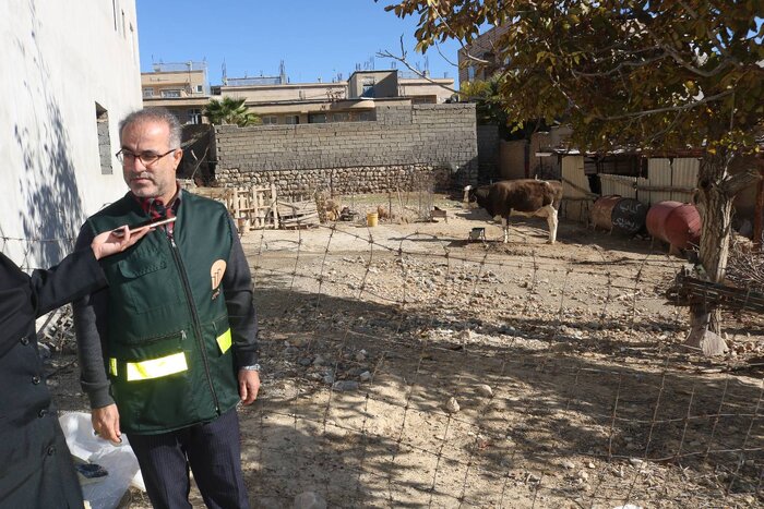 مشارکت ۲۷ هزار خانوار بهرهبردار ایلامی در طرح سرشماری کشاورزی