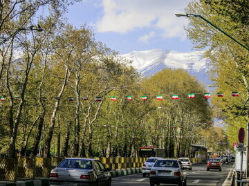 اخطار به شهرداری تهران برای تصمیم به قطع درختان خیابان ولیعصر