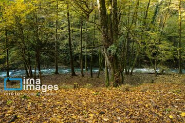 دمای هوا در آذربایجان‌غربی افزایش می‌یابد/ صدور هشدار زرد آلاینده های جوی