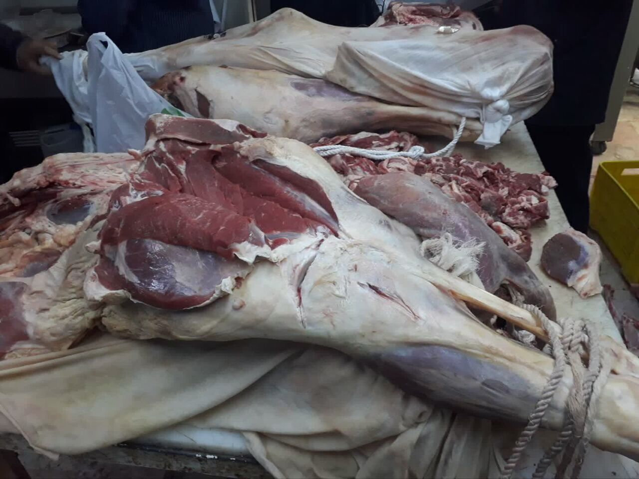 مدیر فروشگاه عرضه گوشت در مراغه زندانی شد مدیر فروشگاه عرضه گوشت در مراغه زندانی شد