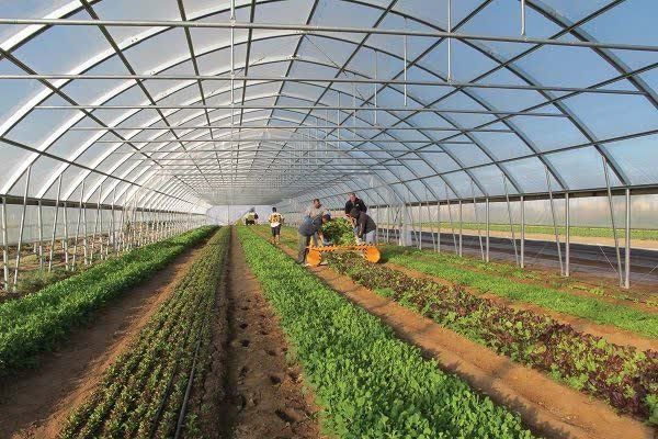 صدور ۵۰۰ مجوز تاسیس واحدهای تولیدی در استان تهران +فیلم