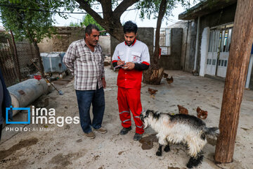 Powerful earthquake strikes Iran's Khuzestan