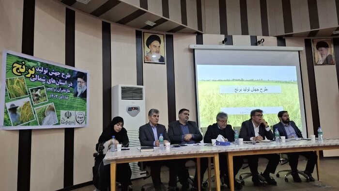 نشست بررسی طرح جهش تولید برنج در رامسر آغاز شد