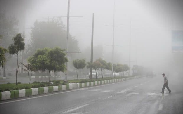 فیلم | مه شدید صبحگاهی در بندر بوشهر