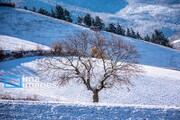 Autumn snow in northern Iran