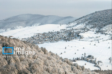 La naturaleza nevada de los bosques de Mazandaran