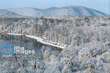 La naturaleza nevada de los bosques de Mazandaran